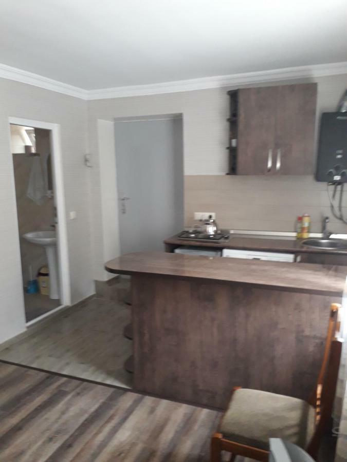 Apartament Sofia Apartment Borjomi Bagian luar foto
